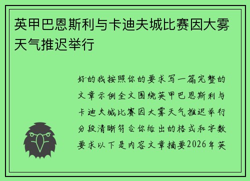 英甲巴恩斯利与卡迪夫城比赛因大雾天气推迟举行 英甲巴恩斯利与卡迪夫城比赛因大雾天气推迟举行